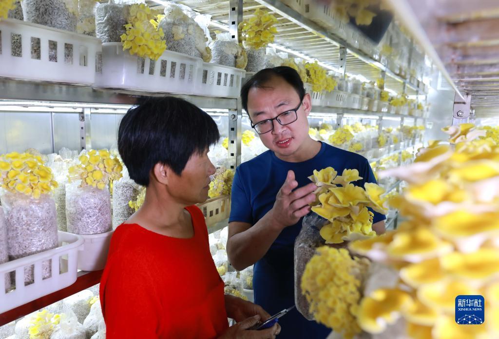 可下分电玩注册送金币